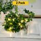 Cozy Plant Leaf Fairy String Lights — 20 LED Battery Operated Greenery
